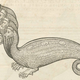 Illustration for article titled Centuries-Old Drawings of Europes Greatest Sea Monsters